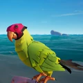 The Macaw perched on hand