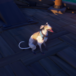 Ashpaw Whippet BR.png