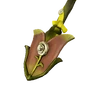 White Rose Shovel