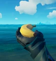 Banana in hand.