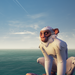 Cloudy Capuchin1.png