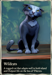 Wildcats