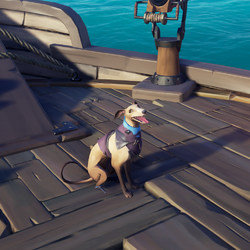 Fawn Whippet Kr.png