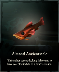 Almond Ancientscale