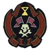 Order of Souls Disordered emblem
