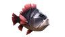 Fish DevilFish Ashen.png