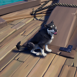 Domino Alsatian 1.png