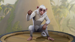 Cloudy Capuchin promo.jpg
