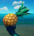 Pineapple in hand.