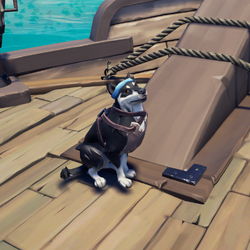 Domino Alsatian BR.png