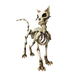 Skeleton Mau