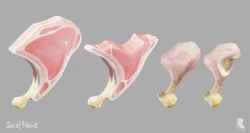 Meat