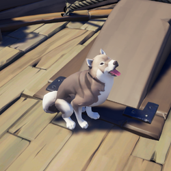 Smoky Inu 1.png