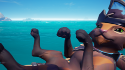 Claycoat Wildcat Kr.png