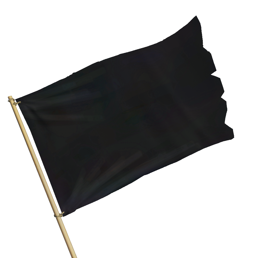 what does a solid black flag mean