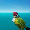 The Macaw with the Macaw Sovereign Outfit equipped.