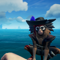 The Marmoset with the Marmoset Sea Dog Outfit equipped.