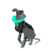 Whippet Ghost Outfit.png