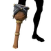 Executive Admiral Pegleg