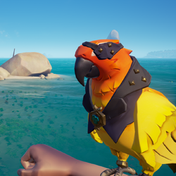 Flame Feather Macaw PL.png