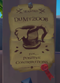 Player immortalization for player DuMy2008.