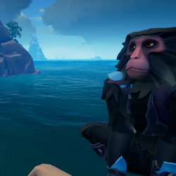 Shadow Barbary Kr.png