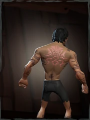 The Shroudbreaker scars viewed from the back