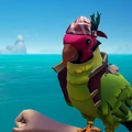 The Macaw with the Macaw Festival of Giving Outfit equipped.