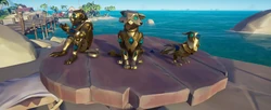 Gold Curse Pets