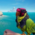 The Macaw with the Macaw Pirate Legend Outfit equipped.