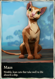 Maus