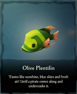 Olive Plentifin