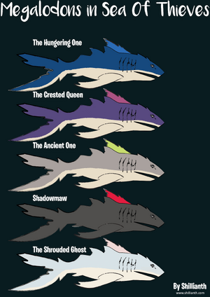 Megalodon by Shillianth.png