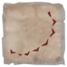 Shark Bitemark Scars