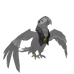 Macaw Pirate Legend Outfit.png