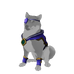 Inu Pirate Legend Outfit.png