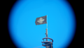 The Flag on a Galleon.