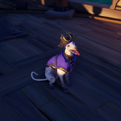 Ashpaw Whippet PL.png