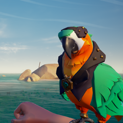 Bright Belly Macaw PL.png
