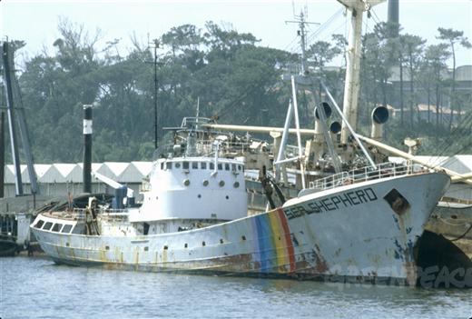 Sea Shepherd aproaching the Hvalur whaling ship after a hunt -  Oceanographic - Oceanographic