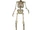 5ft Animatronic Skeleton