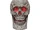 Giant Lighted Skull