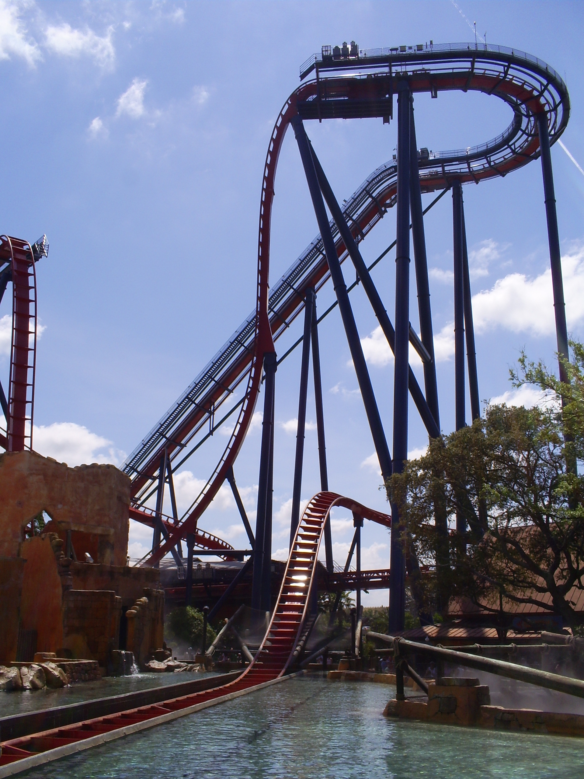 Montu - Busch Gardens Tampa (Tampa, Florida, United States)