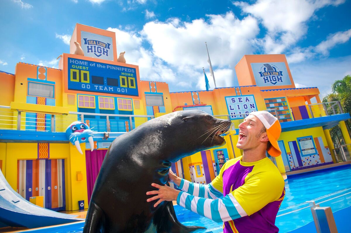 Category:Sea Lions | SeaWorld Wikia | Fandom