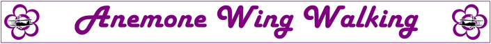 AWW logo banner.png