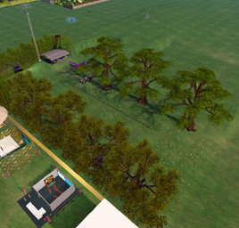 Veld Expeditions Airstrip