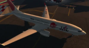 JAL Boeing 737.