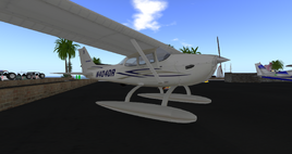 Birdysky 172