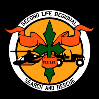 SLR SAR Logo Texture