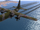 Lockheed C-130 Hercules (Fastronnix)